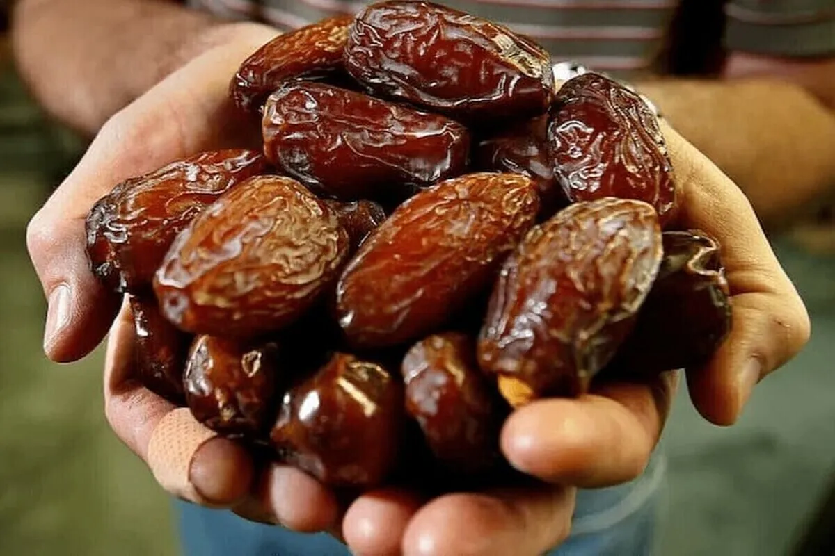 ممنوعیت صادرات خرما لغو شد (۲۸ تیر ۱۴۰۵)