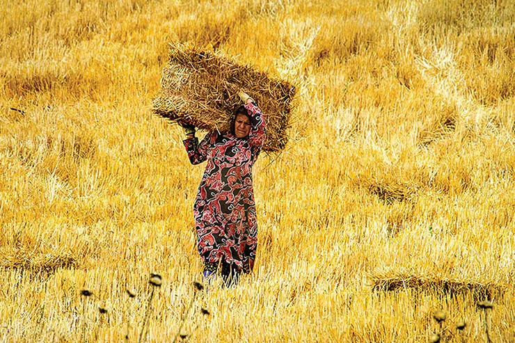 روایتی از باور‌های اساطیری درباره خوراکی‌ها در خراسان
