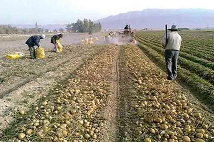 کارگران ارزان‌‌قیمت