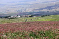 ویدئو| نمایی زیبا از  جاده اهر به مشکین‌شهر
