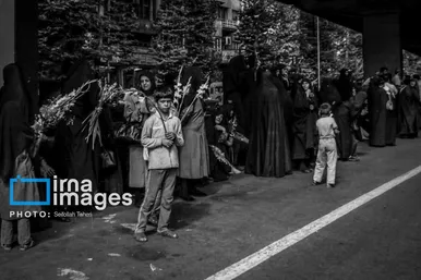 ۲۶ مرداد، روزی که پرستو‌ها به خانه بازگشتند