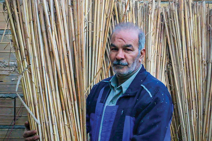 از اسب افتاده از اصل که نیفتاده