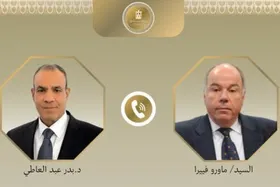 وزیر خارجه مصر در گفت&zwnj;وگو با همتای برزیلی، بر ادامه تلاش&zwnj;ها برای حصول توافق در پرونده ایران تأکید کرد