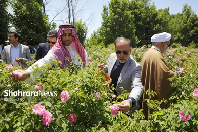 گزارش تصویری | جشن گل‌های محمدی روستای فرخد خراسان رضوی