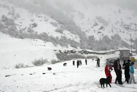 ویدئو | بارش ۸۰ سانتی&zwnj;متری برف در گردنه حیران گیلان