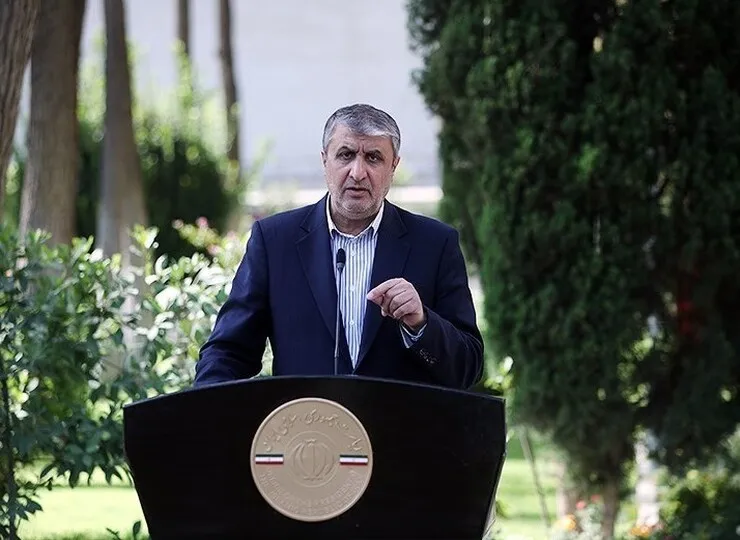 رئیس سازمان انرژی اتمی: بومی‌سازی راکتورها آغاز شد| می‌خواهیم به قطب «سازنده نیروگاه‌های هسته‌ای» در دنیا تبدیل شویم