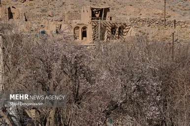 ایران زیباست | بوی بهار در زمستان کویر
