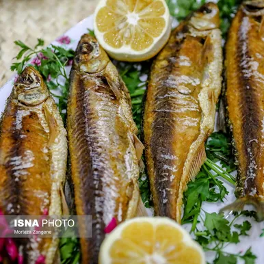 رشت شهر غذاهای خوشمزه