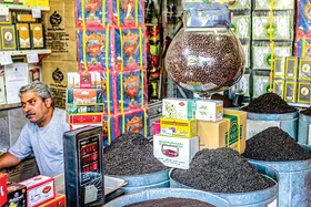 نوسانات ارز و کاهش واردات قیمت چای را در بازار افزایش داد | چای از دهان می&zwnj;افتد؟