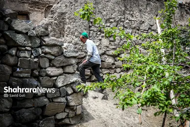 ابریشم کشی در بایگ