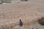 خسارات جانی و مالی سیل در افغانستان | ۱۶ تن جان باختند + عکس