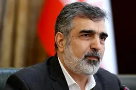 سخنگوی سازمان انرژی اتمی: اقدام سیاسی در ممناعت از حضور اسلامی در وین برای همه کشورها خطرناک است
