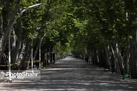 آخرین رنگ&zwnj;بندی کرونا؛ مشهد زرد شد (۸ مهر ۱۴۰۰)