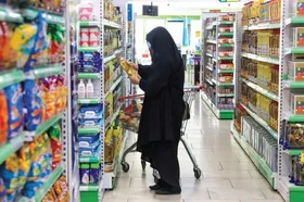 اولویت بسیج اصناف، توانمند&zwnj;سازی واحد&zwnj;های صنفی تولیدی است