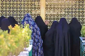 قدم&zwnj;های عاشقی در آستان امام رضا (ع)