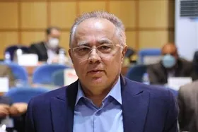 دبیری: اختیارات استانداری&zwnj;ها و شوراهای اسلامی سراسر کشور افزایش خواهد یافت