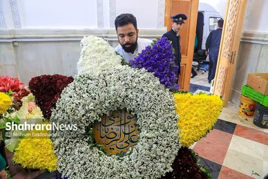 گل آرایی حرم مطهر رضوی در آستانه میلاد امام رضا (ع)