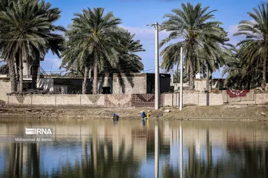 واکسیناسیون دام در مناطق سیل زده