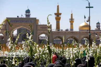گلباران حرم مطهر رضوی در روز میلاد حضرت معصومه (س)