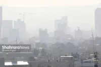ویدئو| چرا مازوت‌سوزی در مشهد متوقف نشد؟