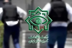 اطلاعیه وزارت اطلاعات درباره انهدام شبکه&zwnj; گسترده&zwnj; خانواده&zwnj; بهاییِ اخلالگر بازار دارو  + ویدئو