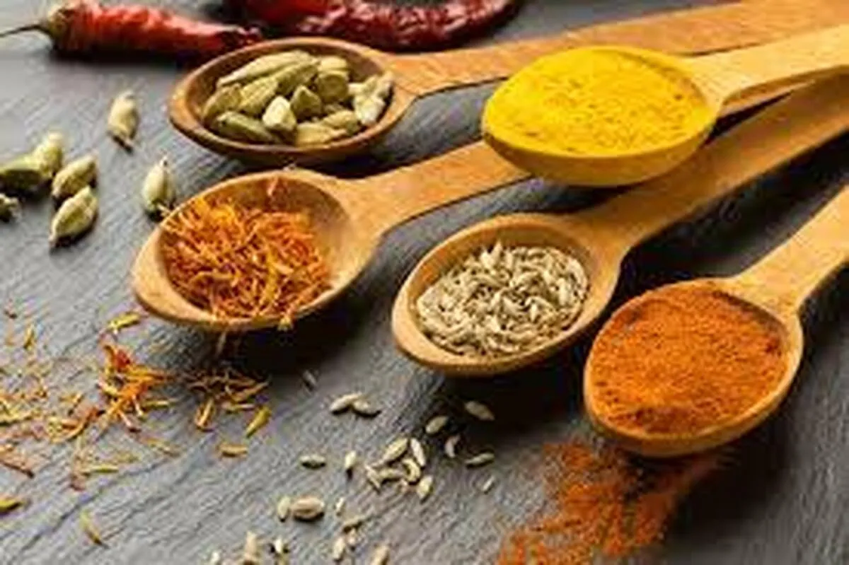 ادویه‌ها و چاشنی‌های مناسب برای غذا‌های گوشتی کدام‌اند؟