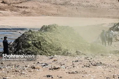معدوم سازی چهار تن ناس و تنباکو در مشهد