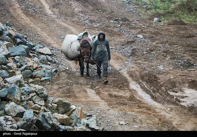 ایران زیباست | برداشت چای بهاره - گیلان