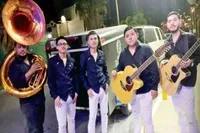 ۵ نوازنده یک گروه موسیقی در مسیر اجرای کنسرت به قتل رسیدند