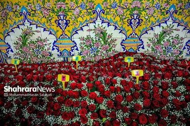 چراغانی و گل آرایی حرم مطهر رضوی در دهه کرامت