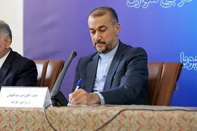 امیرعبداللهیان: همسایگان ایران از ظرفیت اقتصادی، تجاری و سیاسی پراهمیتی بهره&zwnj;مند هستند