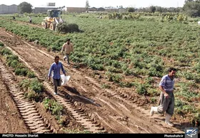 کشف ماجرای کشف&zwnj;رود مشهد تا آخر هفته