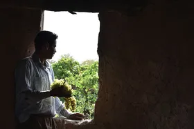 روایتی از فصل برداشت انگور تاکستان های روستای فرخّد | &laquo;مِیم&raquo;&zwnj;های کهنه انگور&zwnj;های تازه!