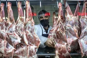پیش&zwnj;بینی تامین ۳۰۰۰ تن گوشت منجمد گوساله و گوسفندی در خراسان رضوی