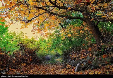 ایران زیباست | پاییز در ارسباران