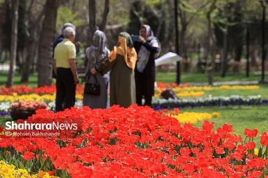 رویش لاله‌ها در بوستان ملت