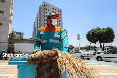 پاکبانان شهر