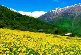 ویدئو| دشت شگفت&zwnj;انگیز دریاسر &zwnj;