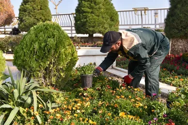 گل‌آرایی حرم مطهر رضوی در آستانه عید نوروز