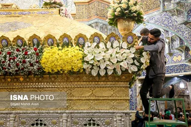 گزارش تصویری | گل آرایی ضریح حضرت معصومه (س) به مناسبت سالروز ورود ایشان به قم