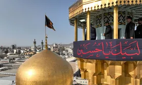 نگاهی به اقدامات امام رضا(ع) برای زنده نگه داشتن قیام عاشورا | امام حسین (ع) و عاشورا در فرهنگ رضوی
