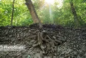 نماینده صندوق بیمه کشاورزی خراسان‌رضوی: در شرایط سخت خشکسالی به‌سر می‌بریم