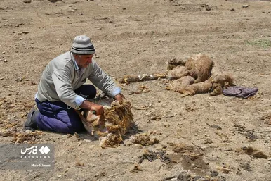 پدر، جانِ زندگی