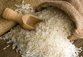واردات برنج مشروط می&zwnj;شود (۲۳ تیر ۱۴۰۲)