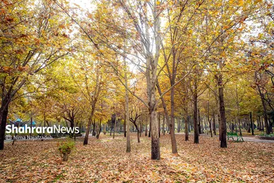 طبیعت پاییزی بوستان های مشهد