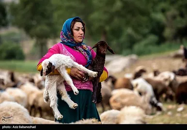 عبور عشایر از خرم آباد
