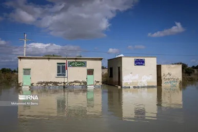 واکسیناسیون دام در مناطق سیل زده