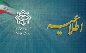 سرشاخه&zwnj;های قیمت&zwnj;گذاری جعلی ارز&zwnj;های خارجی توسط وزارت اطلاعات دستگیر شدند+ جزئیات