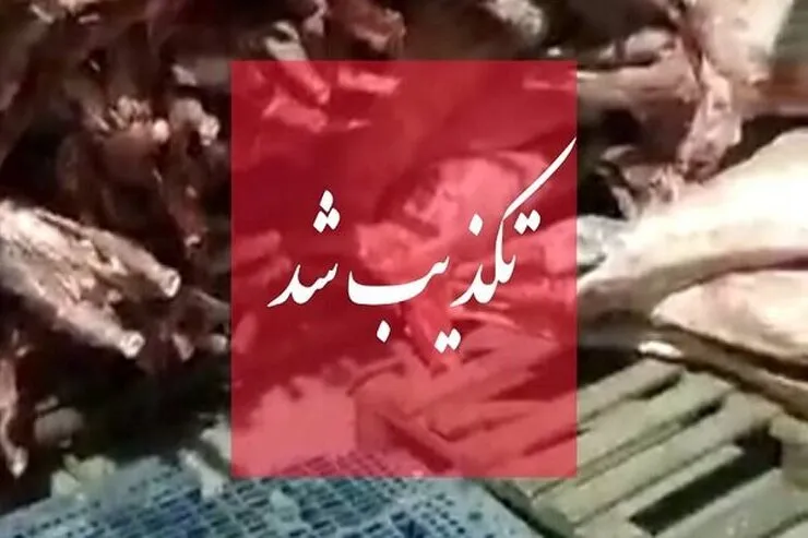 واردات گوشت حرام تکذیب شد
