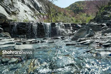 گزارش تصویری | دره «ارغوان» مشهد